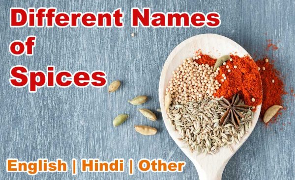 Different-Names-of-Spices-in-Hindi-English-Other-Languages-MeriRasoi