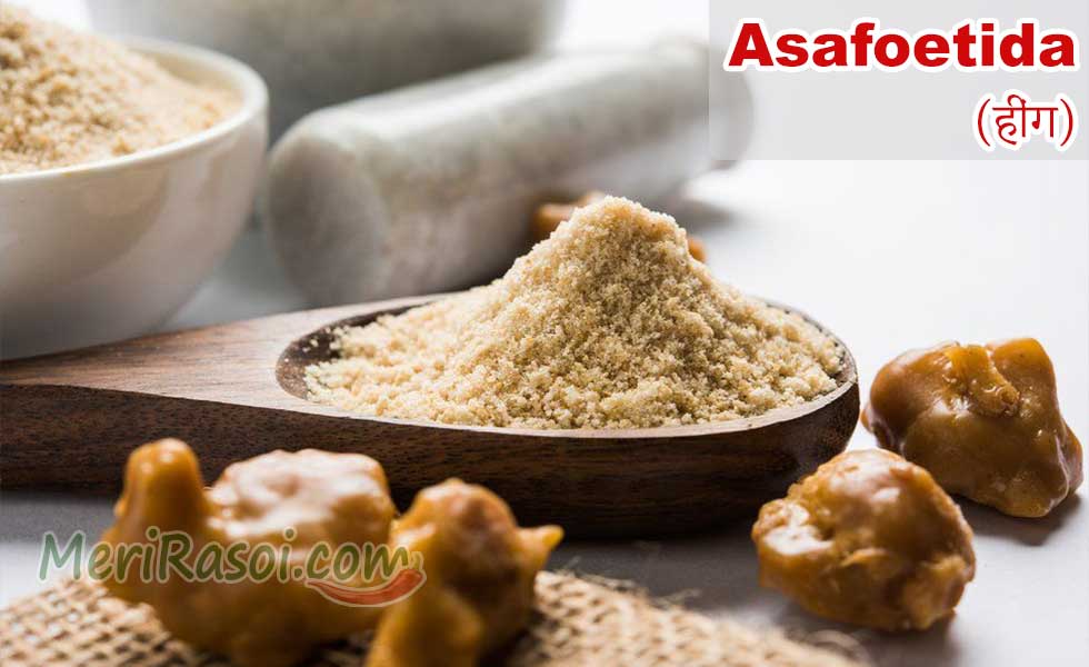 Asafoetida (Hing) Uses, Health Benefits, Side Effects Meri Rasoi
